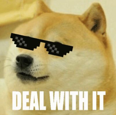 Doge with pixellated sunglasses. Caption reads "DEAL WITH IT"